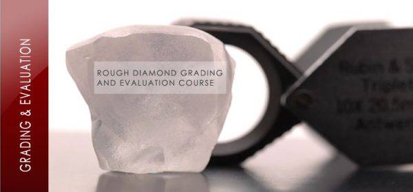 Rough Diamond Grading Evaluation Course - Corlia Roberts | Institute of ...