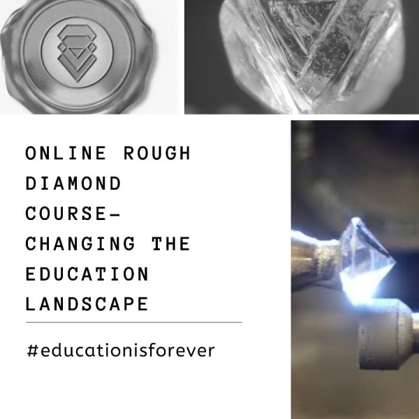 ONLINE Rough Diamond Grading and Evaluation Course - Corlia Roberts ...